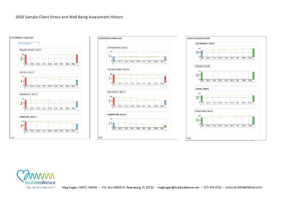 Sample Client Stress & Well Being Assessment historical results pre and post coaching (four weeks):